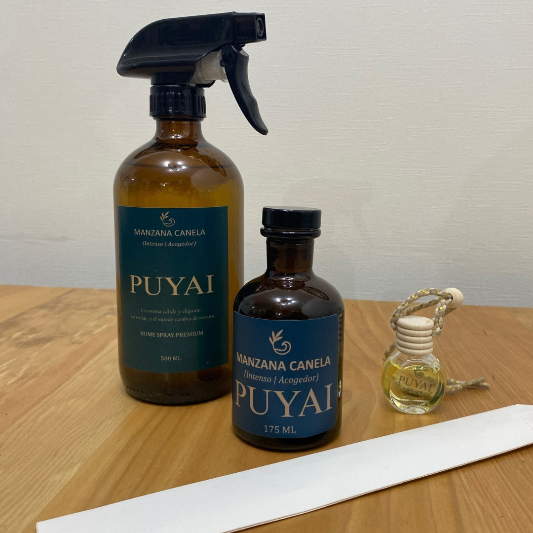 PUYAI START